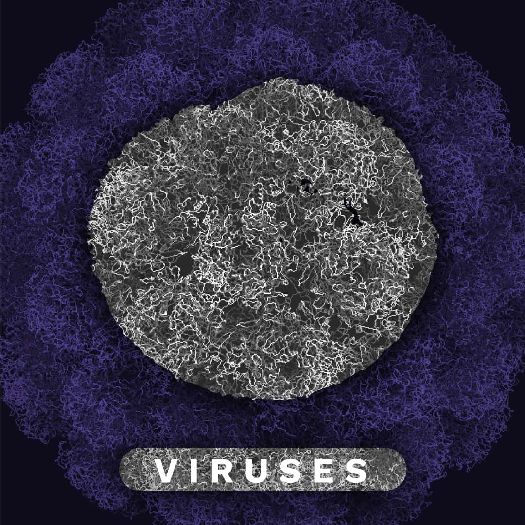 microscopic virus with purple