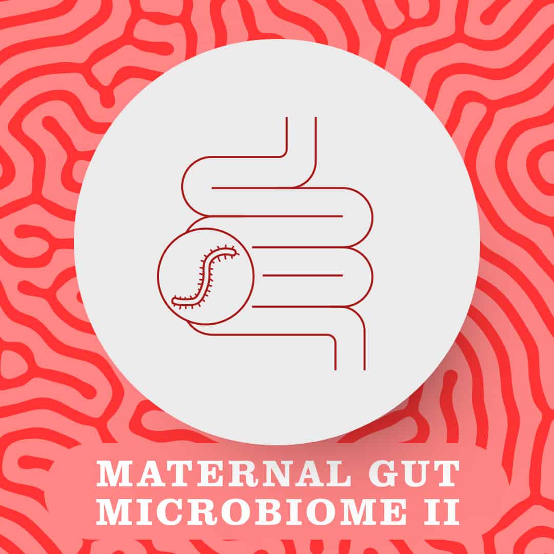 maternal gut microbiome II
