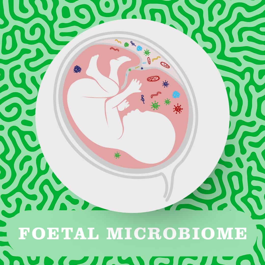 foetal microbiome
