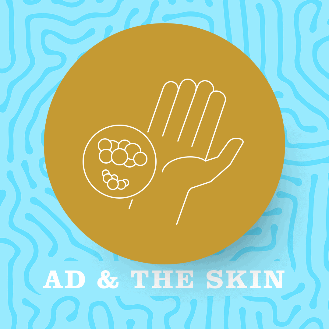 Atopic dermatitis the skin