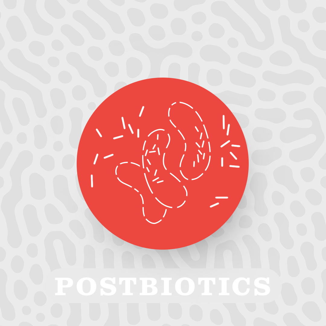 postbiotics - broken bacteria spilling its contents